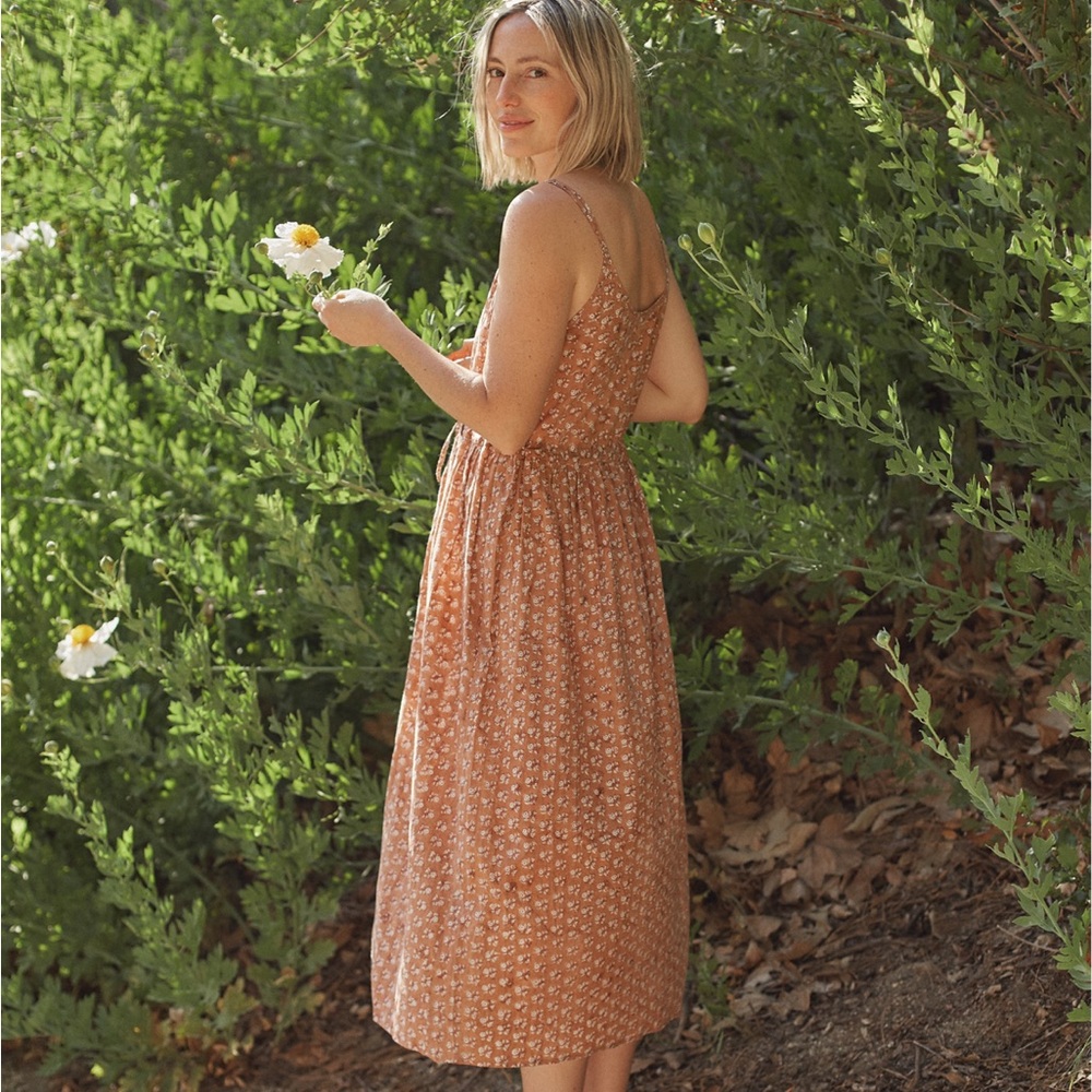Christy Dawn Lincoln Dress - Flower Pot pattern